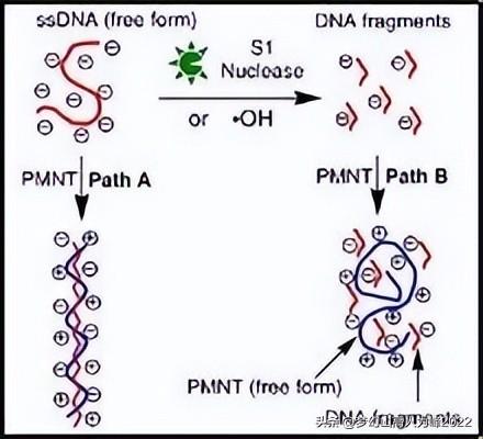 云域最新地址获取与使用指南，初学者与进阶用户必备教程