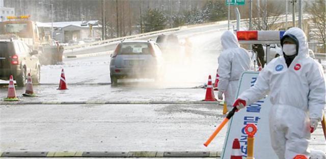 6月16日最新疫情动态与防护指南,安全度过疫情期的方法