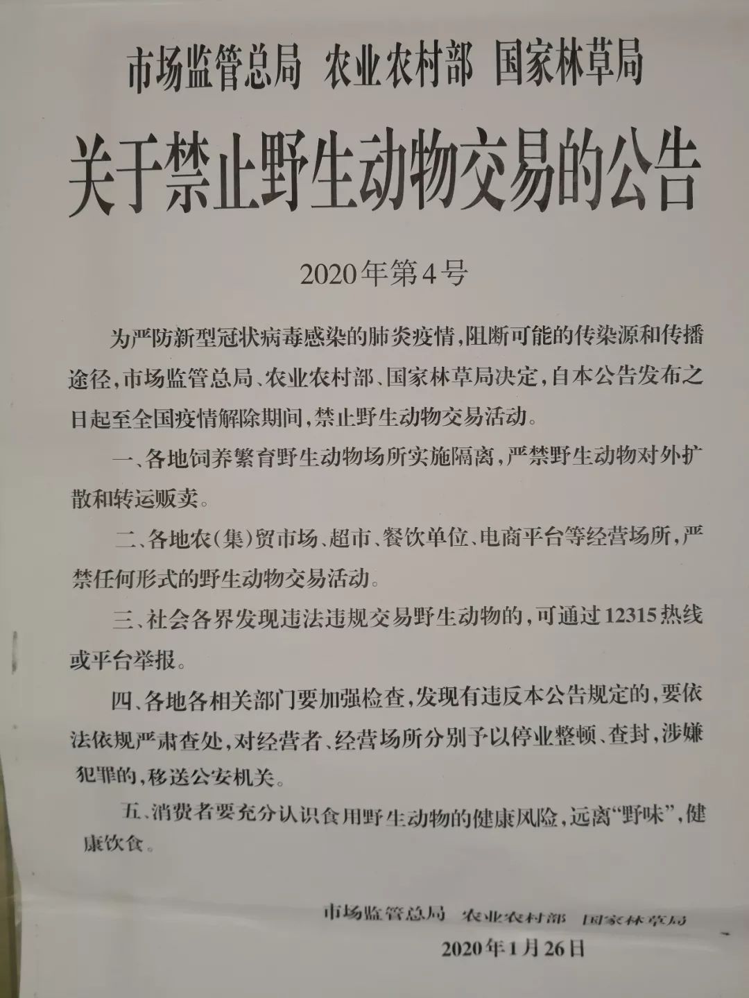 野生动物最新通知,野生动物最新通知,全面审视与观点阐述