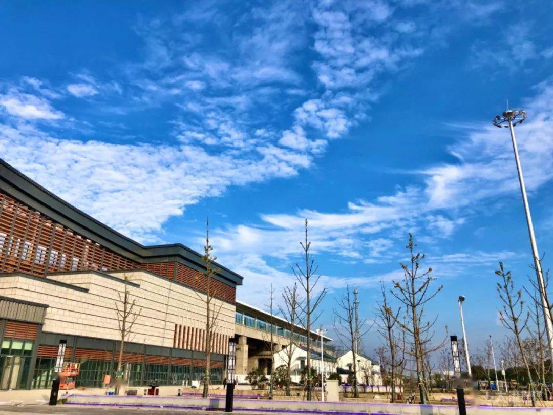 大港南站最新动态及巷弄深处的独特风味探秘