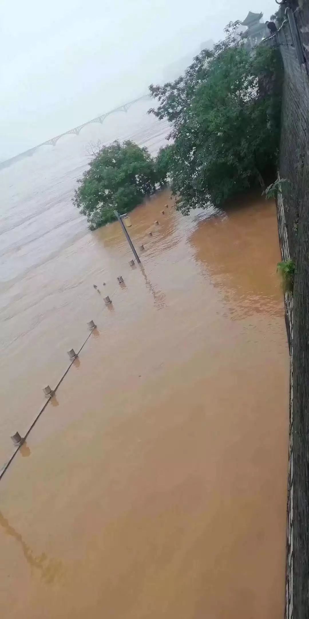 赣江洪水最新消息,赣江洪水最新消息,应对洪水的步骤指南(初学者/进阶用户适用)