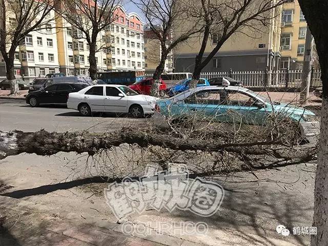 齐齐哈尔大风最新消息