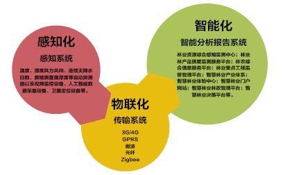 最新网站安全资源