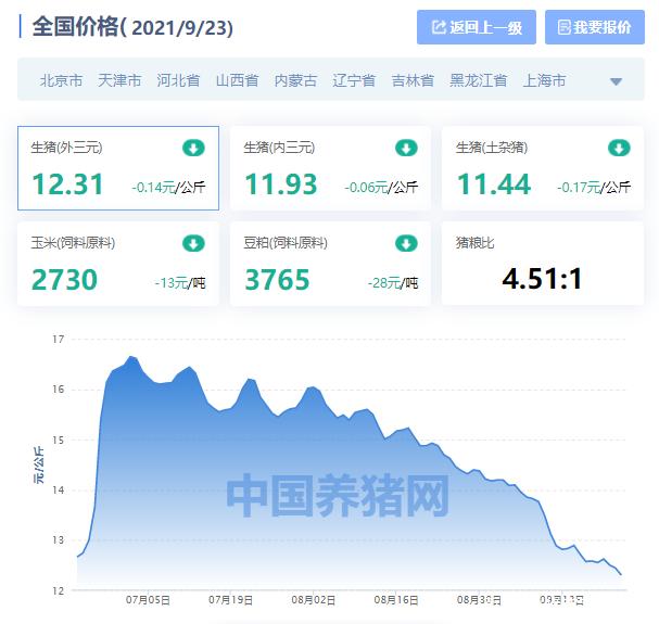 今日猪价最新价格概览,科技引领智能养猪新体验