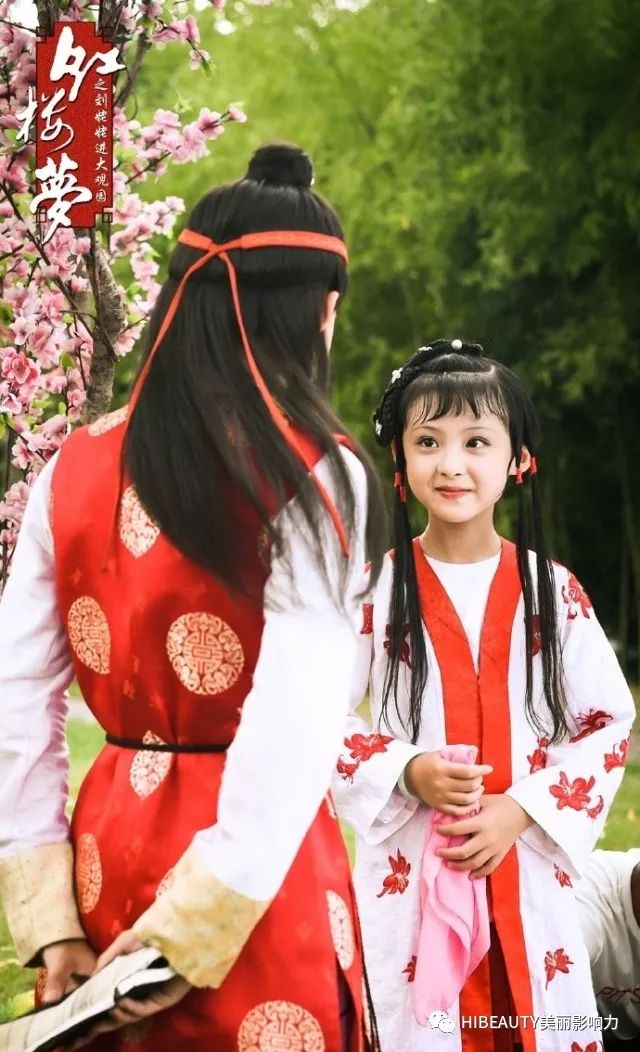 小戏骨红楼梦演员,小戏骨红楼梦演员，演绎经典传承文化