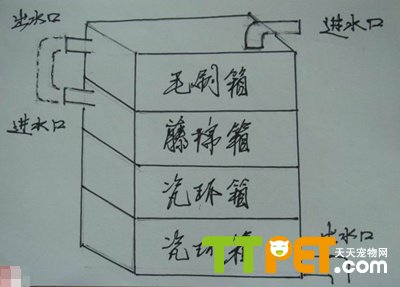 自制鱼缸过滤系统全套教程，从零开始打造优质过滤系统
