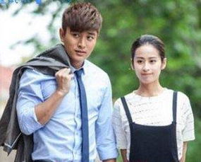 贾乃亮主演电视剧大盘点，自然美景探寻之旅