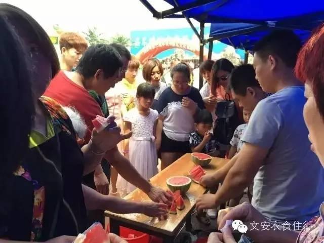 河北西瓜行情，瓜田里的励志故事，自信与成就感的源泉