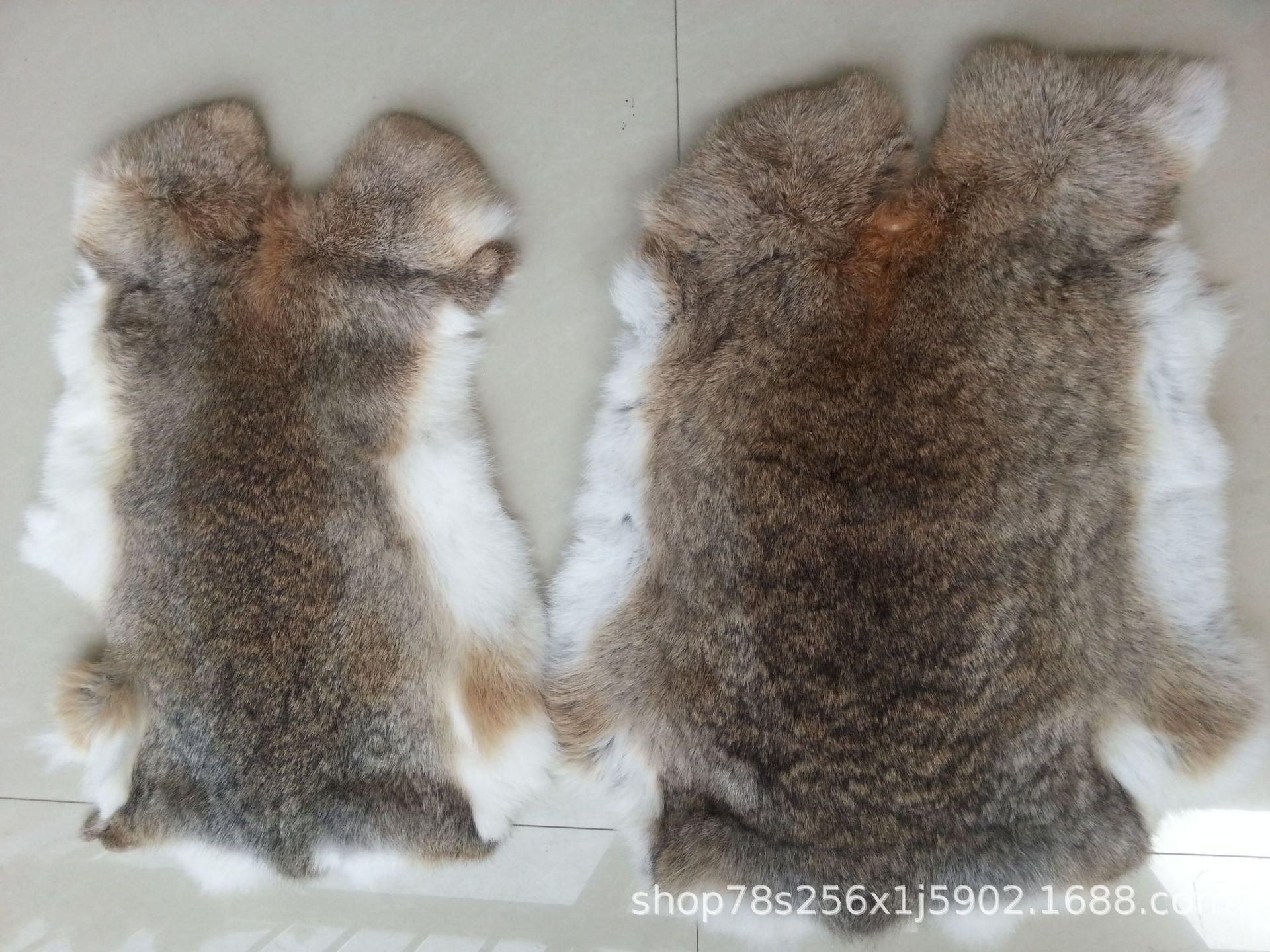 兔皮最新价格概览，市场走势与影响因素深度解析