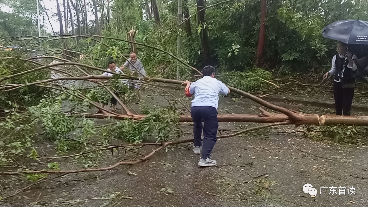 台风下的坚持，深圳学习热情与励志故事