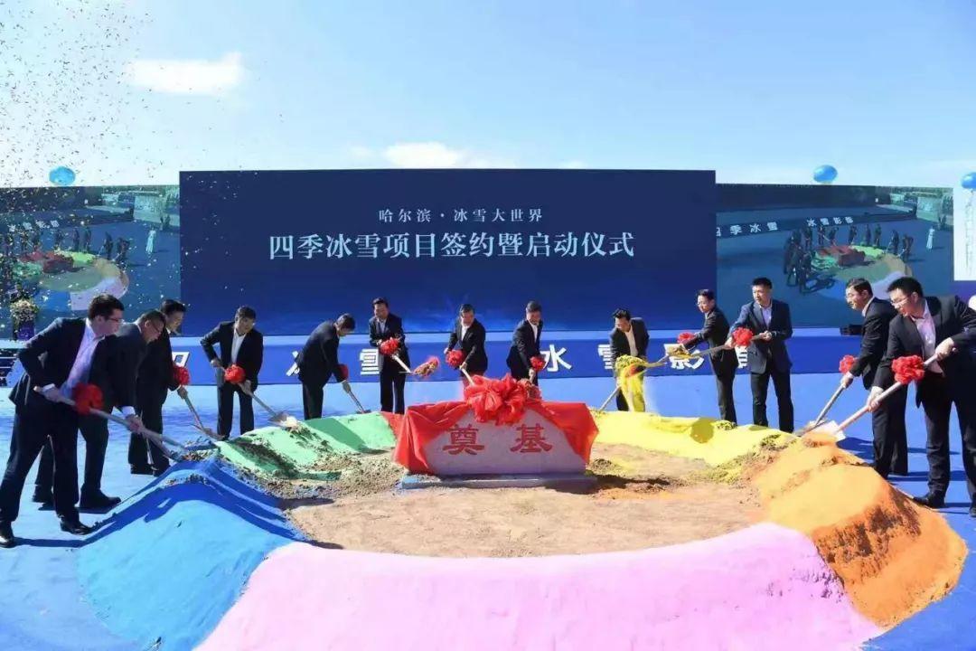 代守仑最新动态,代守仑最新动态，如何完成一项任务或学习新技能的步骤指南