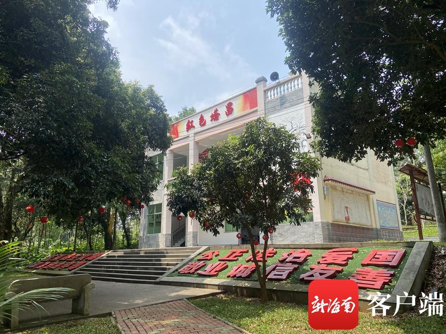 南海新貌展现风采独特魅力吸引目光