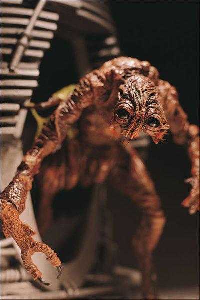 揭秘变蝇人演员阵容——时空挣扎的人性探索!