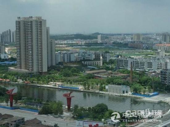 中山星汇湾最新住宅价格揭秘，市场走势与个人观点分析