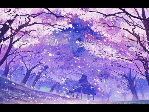 樱花动漫在线看