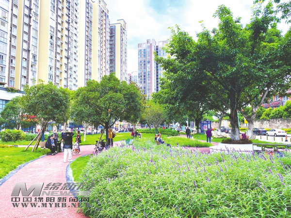 西安魅力新画卷，日常趣事与深厚友情的交织展现