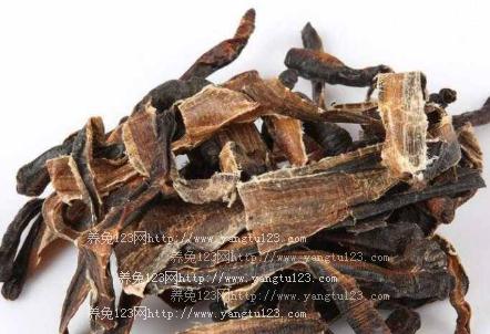 地龙的价格多少钱一斤