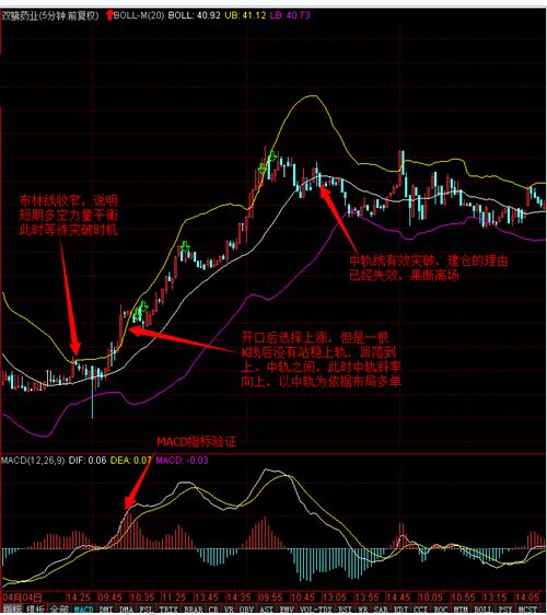 002038股票行情,温馨股市小故事，002038股票行情里的美好时光
