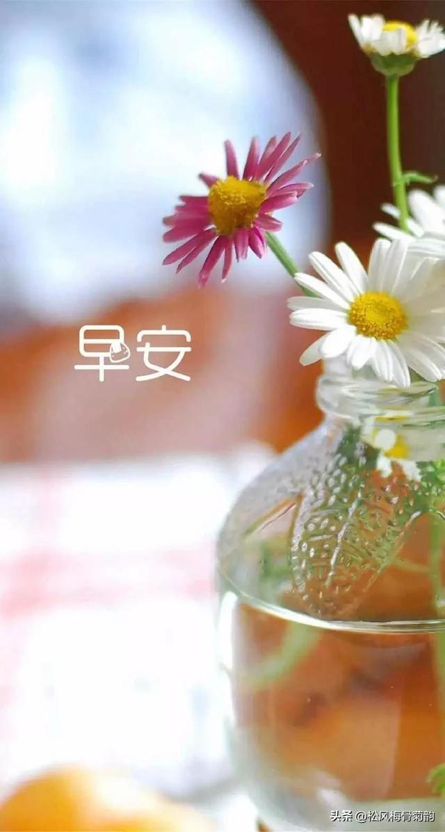 早安美图,早安美图制作步骤指南