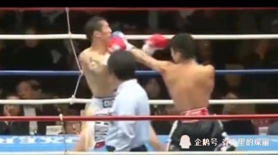 中日拳击比赛，爱与陪伴的热血较量