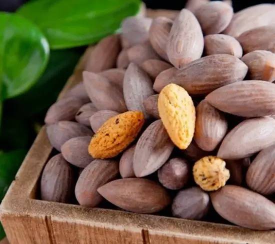 腰果成熟上市时间与内心平静之旅的探索