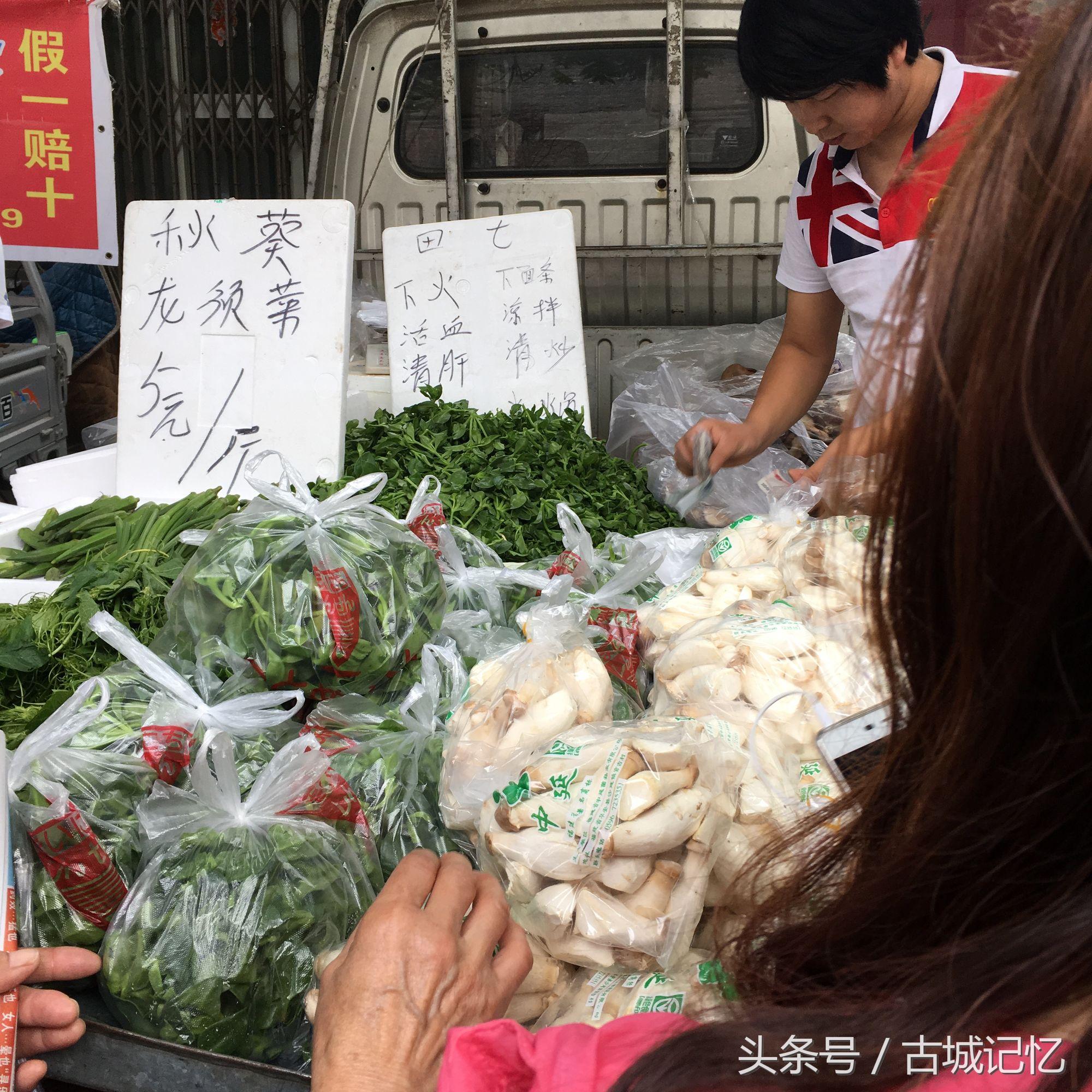 最新创意广告语,最新创意广告语，探索小巷中的隐藏宝藏，品味独特小店的非凡魅力