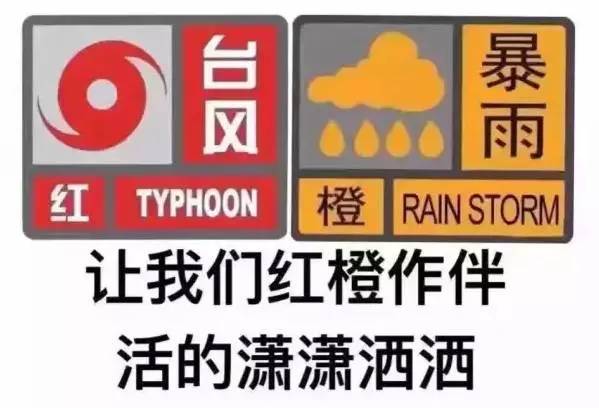 东莞台风最新动态，台风影响下的自然美景探索之旅