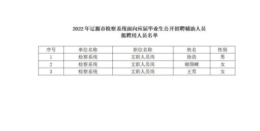 嫩江县最新招聘信息探索，小巷中的职业机遇发现之旅