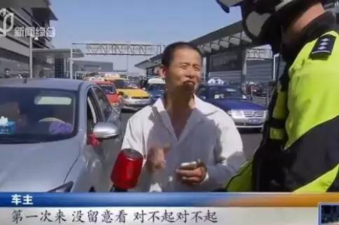 上海最新事件深度论述