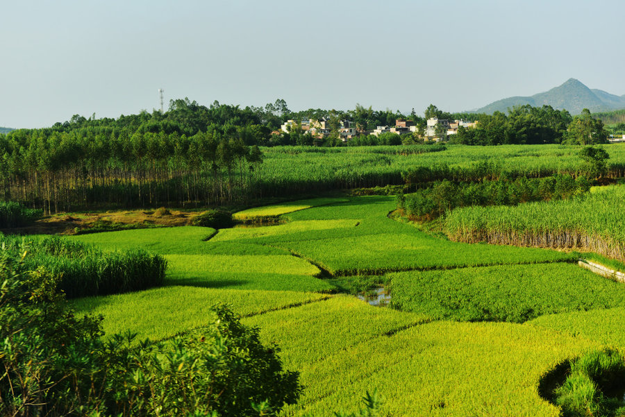 田园风光新篇章，播种希望，成就自信与辉煌