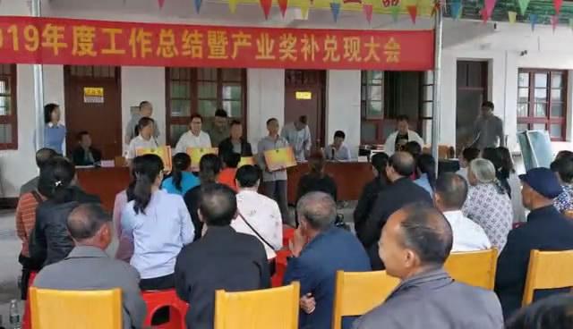 炎陵新闻最新动态,炎陵新闻最新动态，观点阐述与解析