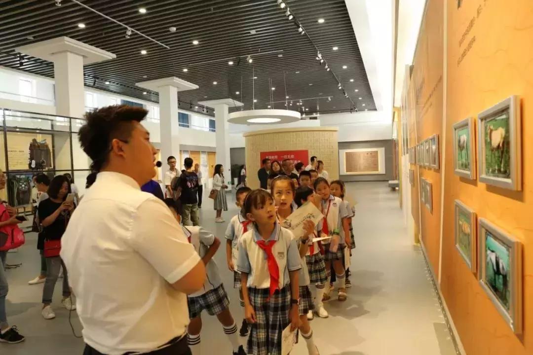 最新绳艺展示，传统与创新的完美交融之韵