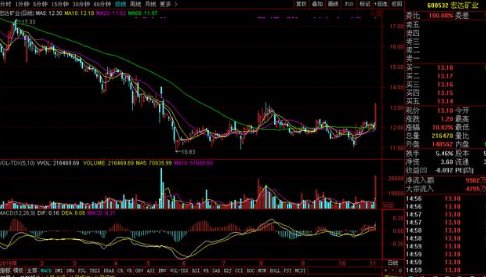 全面解读股票信息查看途径，专业平台与个人观点分享