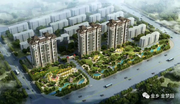 金乡最新开盘价格揭秘，市场走势与多方观点深度探讨