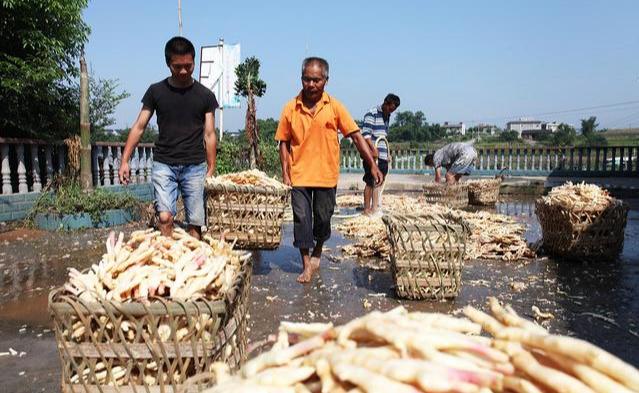 铜陵上市公司的温馨日常风采展示