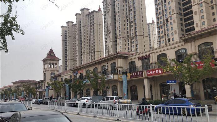 浙江佳源集团要上市吗