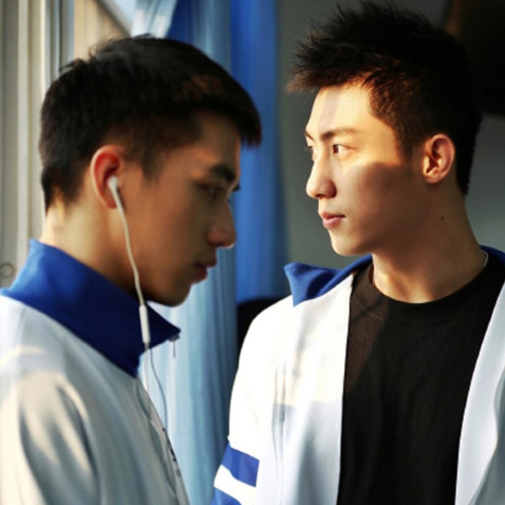 上瘾电视剧第二季，日常温馨趣事回顾