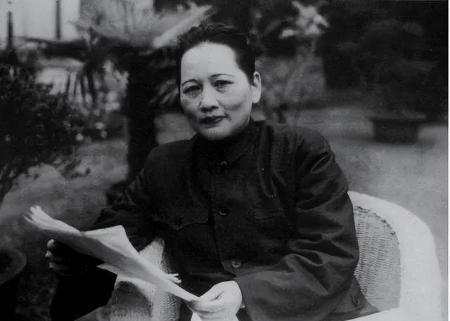 高明最新发展蓝图,巷弄深处的独特风味展现