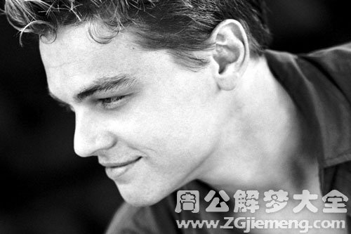 梦到明星的含义，一段星光下的心灵触动与温馨故事