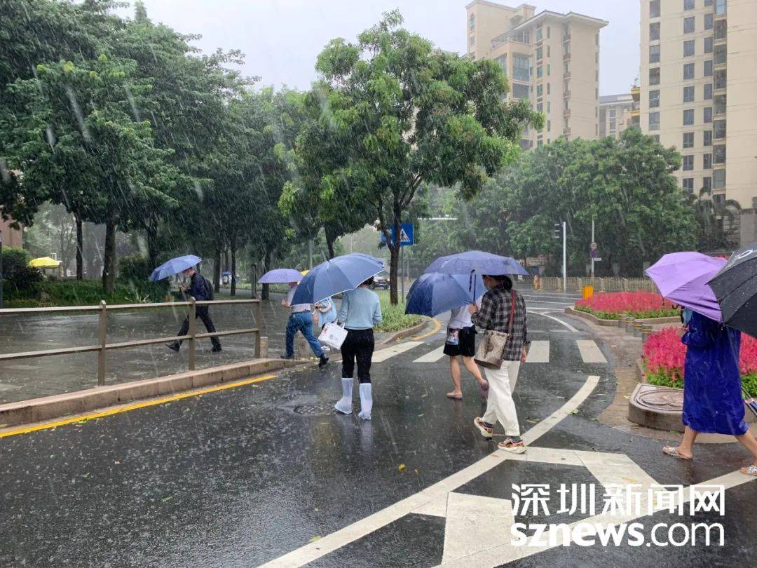 深圳最新台风动态,深圳最新台风动态，逆风翱翔，变化中的学习与成长之旅