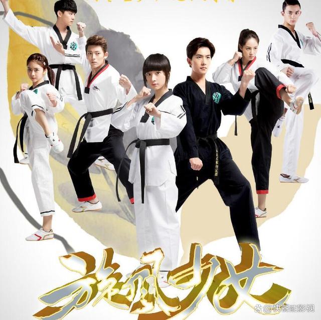 旋风少女所有演员表,旋风少女所有演员表，深度解析角色与演员的魅力