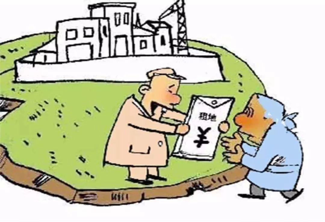 土地最新动态，绿意盎然中的温情故事