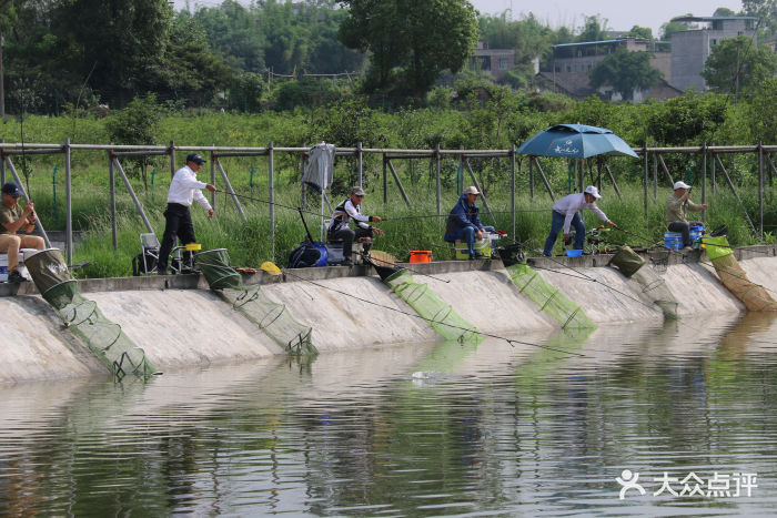近期钓鱼比赛，竞技与休闲的完美交融时刻！