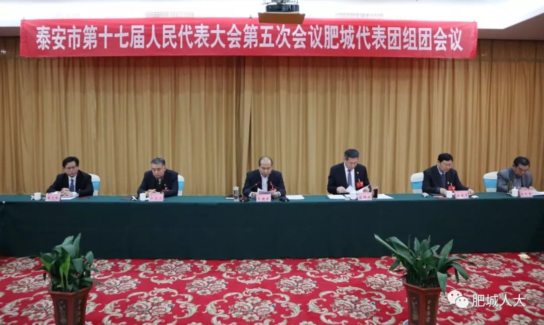 泰安人大最新资讯,泰安人大最新资讯