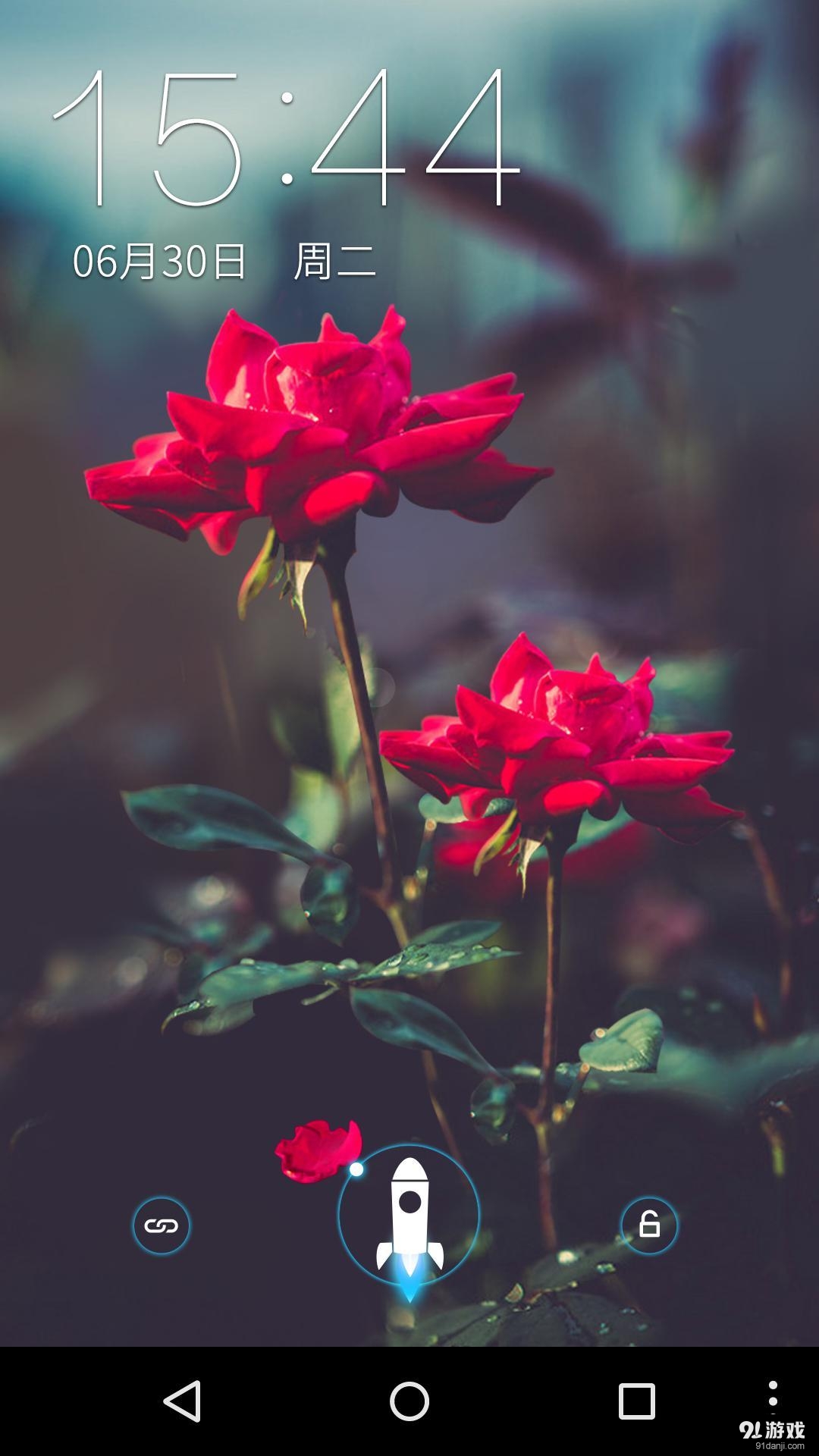 玫瑰最新力作,玫瑰最新力作，科技与生活的完美融合