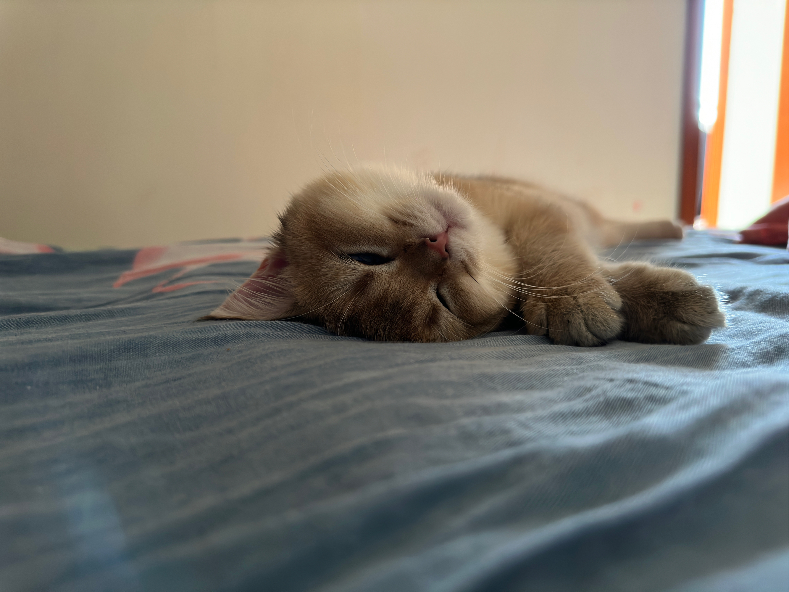 调整昏昏欲睡状态，高效完成任务与学习技能的秘诀