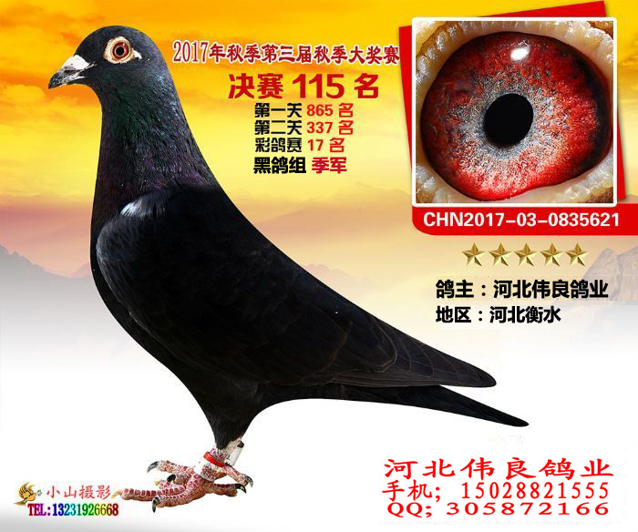 百团公棚最新通告,百团公棚最新通告,引领未来的高科技产品介绍