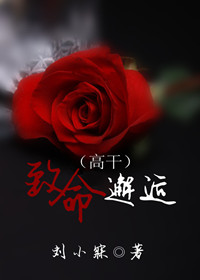 刘小寐新作小说深度解析与探讨，探索未知的文学之旅