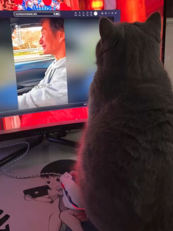 胖猫影院升级,视听盛宴的蜕变之旅