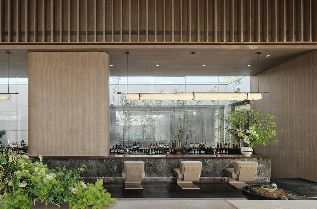 最新视飞精彩视频,最新视飞精彩视频，时代背景下的瞩目焦点